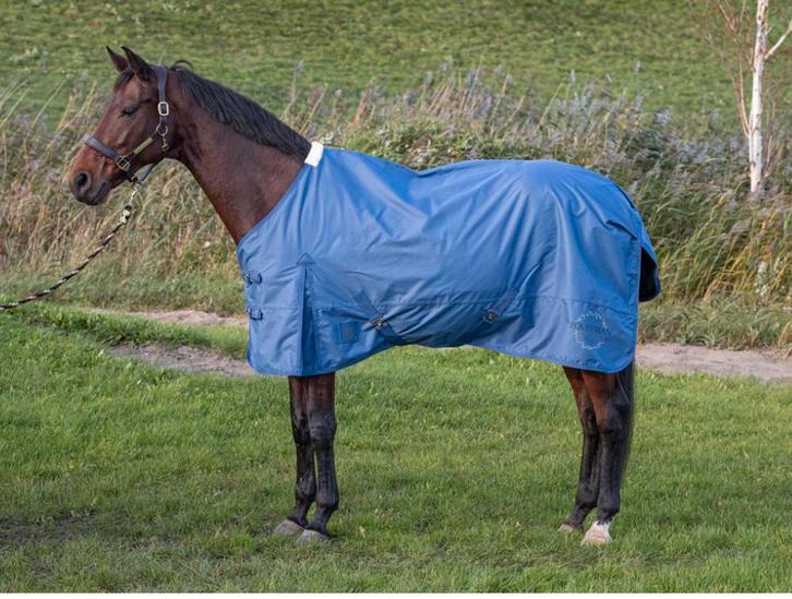 Harry’s horse outdoordeken thor 0 gram 175 nieuw, Dieren en Toebehoren, Paarden en Pony's | Dekens en Dekjes, Nieuw, Deken, Ophalen of Verzenden