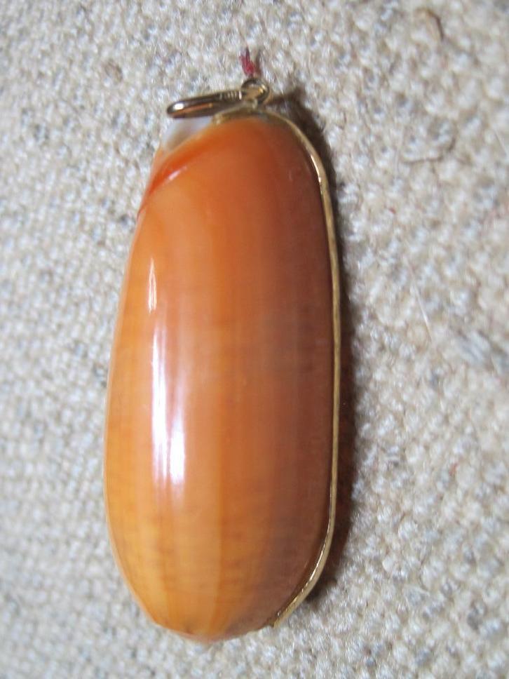 Vintage hanger met 18K gouden rand Oliva irisans cryptospira, Sieraden, Tassen en Uiterlijk, Kettinghangers, Zo goed als nieuw