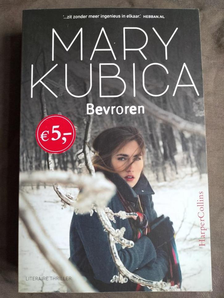 Mary Kubica - Bevroren, Boeken, Thrillers, Zo goed als nieuw, Ophalen of Verzenden