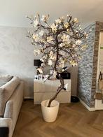 Magnolia kunstboom, Gebruikt, Ophalen