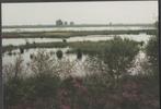 Bargerveen Hoogveenreservaat Staatsbosbeheer Natuur Ongelope, Verzamelen, Verzenden, 1980 tot heden, Ongelopen, Drenthe