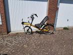 Ligfiets  Batavus model Relaxx 4 all, 7 versnellingen, Ophalen, Gebruikt, Bovenstuur, Overige merken