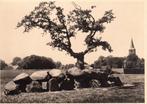 Rolde   -   Hunebed                             =0055/56=, Ophalen of Verzenden, Ongelopen, Drenthe