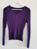 Les Bleus paarse dunne trui top Mt L Lange mouwen V-Hals, Kleding | Dames, Tops, Paars, Maat 42/44 (L), Ophalen of Verzenden, Zo goed als nieuw