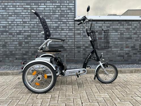 Elektrische Van Raam Easy Go, Fietsen en Brommers, Fietsen | Driewielfietsen, Zo goed als nieuw, Ophalen