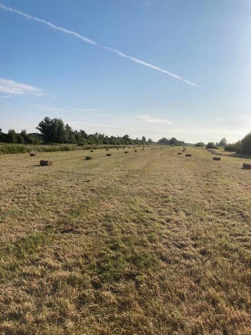 Eerste snede hooi 2025, Dieren en Toebehoren, Stalling en Weidegang