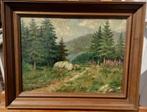 ~1920/30 Alpen landschap, olieverf op doek, gesigneerd?, Antiek en Kunst, Ophalen of Verzenden