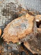 Boomstam Schijven - 1 Meter Doorsnede, Tuin en Terras, Minder dan 3 m³, Ophalen, Overige houtsoorten, Stammen