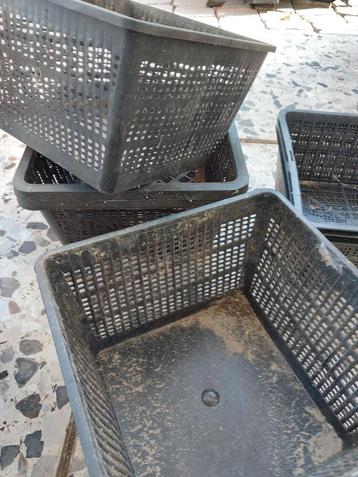 7 Vijverplanten manden vierkant 1 gebogen beschikbaar voor biedingen