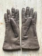 Nieuwe leren Laimböck handschoenen maat 6,5, Ophalen of Verzenden, Nieuw, Maat 46 (S) of kleiner, Handschoenen