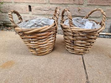 Leuke Bloempotjes met Handvat beschikbaar voor biedingen