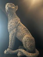 Mooi Zittend Luipaard Beeld, Verzamelen, Ophalen of Verzenden, Zo goed als nieuw, Dier