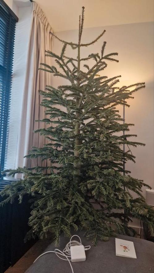 Echte kerstboom, Diversen, Kerst, Gebruikt, Ophalen