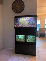 Aquarium stelling 3 aquariums incl kast, Ophalen, Zo goed als nieuw, Gevuld zoetwateraquarium