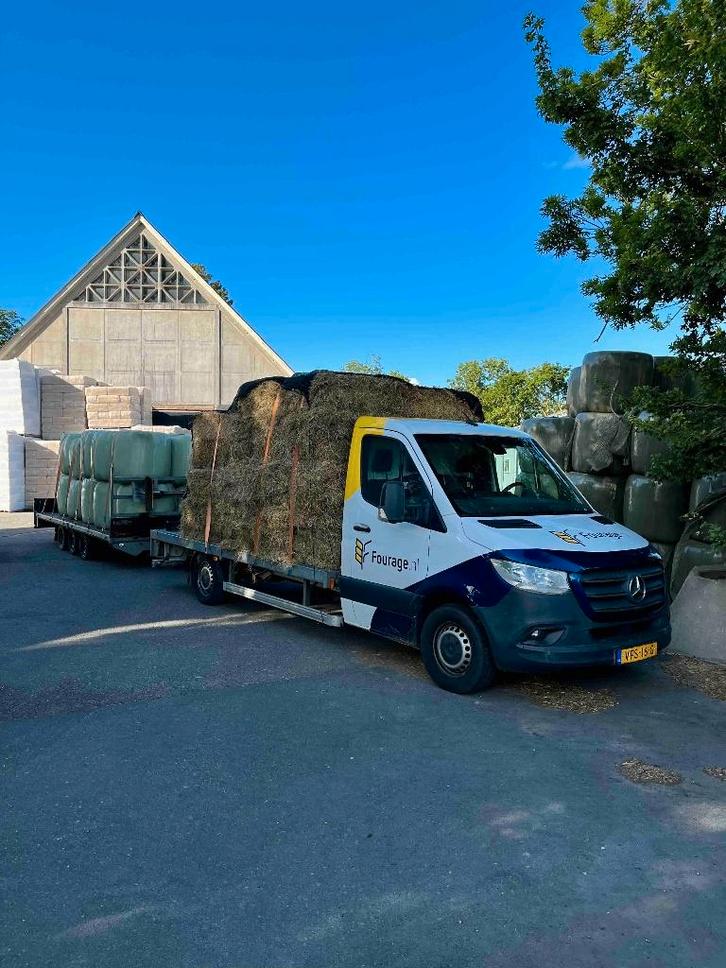 1e kwaliteit hooi, Dieren en Toebehoren, Dierenvoeding, Vee, Ophalen