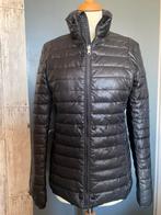 Airforce zwarte jas, maat M., Kleding | Dames, Jassen | Winter, Maat 38/40 (M), Airforce, Zwart, Ophalen of Verzenden