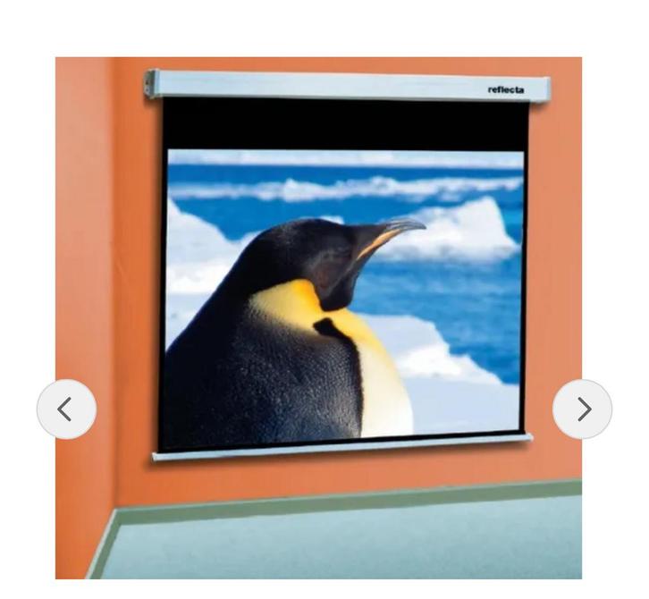 Reflecta Projectiescherm 240x240cm nieuw, Audio, Tv en Foto, Projectieschermen, Nieuw, Handmatig, Ophalen