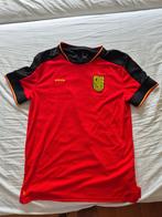 voetbalshirt, Maat L, Ophalen of Verzenden, Zo goed als nieuw, Shirt