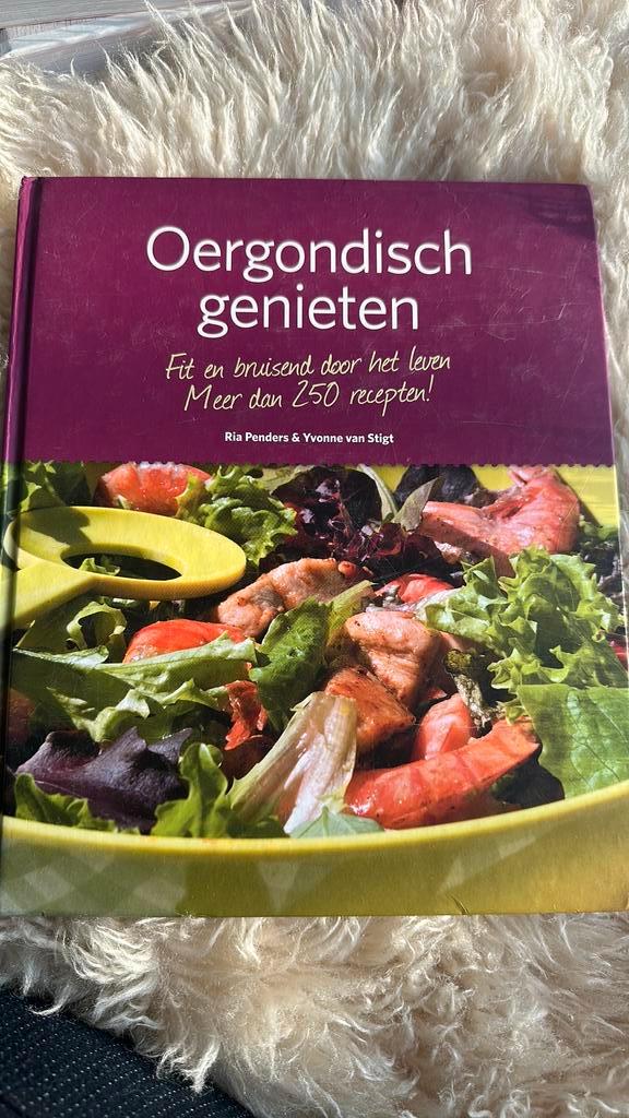 Ria Penders - Oergondisch genieten, Boeken, Kookboeken, Zo goed als nieuw, Ophalen of Verzenden