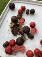 Boilies, Watersport en Boten, Ophalen of Verzenden, Nieuw, Overige typen