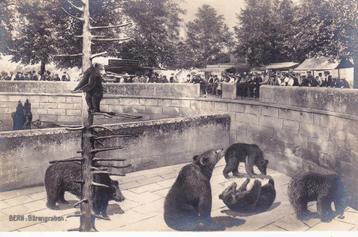 A397 Zwitserland - Bern - Barengraben beschikbaar voor biedingen