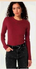 Fabienne Chapot Lillian pullover/ trui maat S  *nieuw *, Fabienne Chapot, Ophalen of Verzenden, Nieuw, Maat 36 (S)