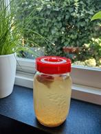 Gratis bio waterkefir (uiterlijk 16-8 ophalen), Diversen, Ophalen