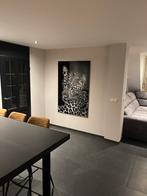 Luipaard Foto tussen Dibond & Plexiglas 100x150cm, Ophalen, Zo goed als nieuw, 75 tot 100 cm, Foto of Poster