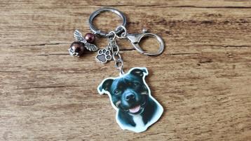 Tashanger Staffordshire zwart groot met beschermengeltje beschikbaar voor biedingen