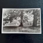 Arnhem Hoge Veluwe Huis de Pampel., Verzamelen, Ansichtkaarten | Nederland, Ophalen of Verzenden, 1940 tot 1960, Gelopen, Gelderland