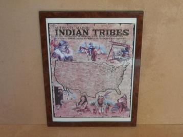 Oud Landkaart Amerikaanse Indian Tribes Indiaanse stammen US beschikbaar voor biedingen
