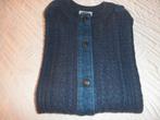 Denim Dames Vest, Ophalen of Verzenden, Zo goed als nieuw, Maat 38/40 (M), Blauw