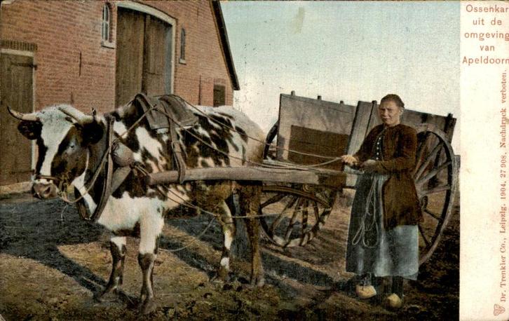 Apeldoorn - Ossenkar, Verzamelen, Ansichtkaarten | Nederland, Gelopen, Gelderland, Voor 1920, Ophalen of Verzenden