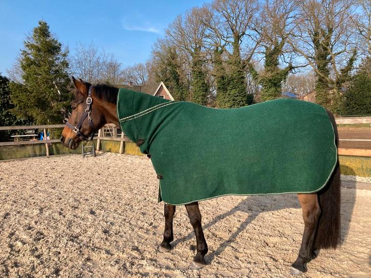 Mooie wollen paardendeken 195 met hals, Dieren en Toebehoren, Paarden en Pony's | Dekens en Dekjes, Zo goed als nieuw, Ophalen