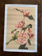 Canvas poater Japandi Ogawa Kazumasa bloemen 40 x 60 cm, Ophalen of Verzenden, 50 tot 75 cm