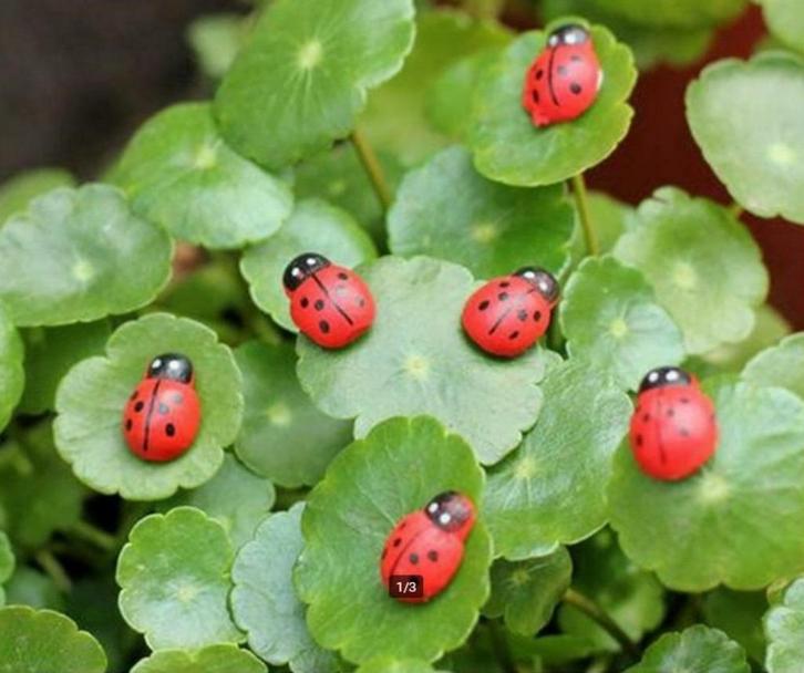 4 Lieve Heren beestjes, Verzamelen, Poppenhuizen en Toebehoren, Zo goed als nieuw, Poppenhuis, Ophalen of Verzenden