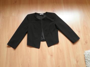 leuk kort zwart jasje (gevoerd) in maat S merk Dany  beschikbaar voor biedingen