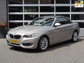 BMW 2-serie Cabrio 218i Centennial High Executive beschikbaar voor biedingen