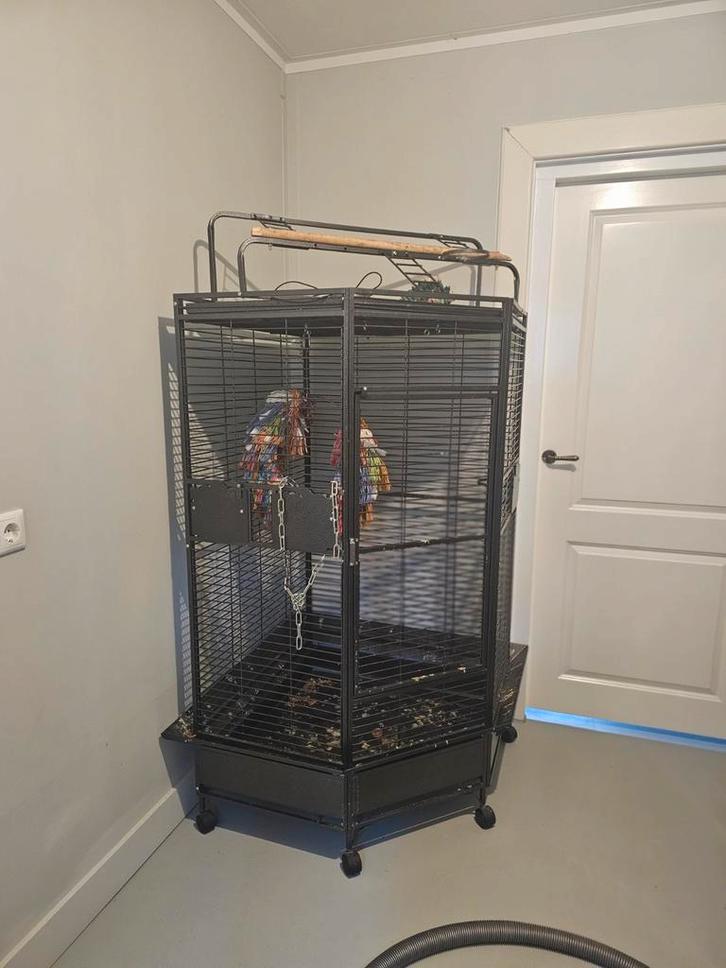 Keddoc papegaaien hoek kooi, Dieren en Toebehoren, Vogels | Hokken en Kooien, Gebruikt, Vogelkooi, Metaal, Ophalen