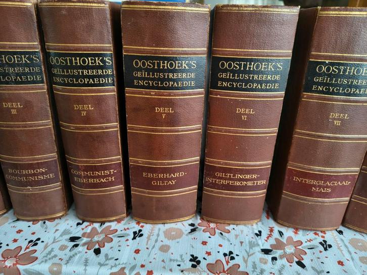 Oosthoek's Geïllustreerde Encyclopaedie 1916 - Complete Set, Boeken, Encyclopedieën, Gelezen, Complete serie, Algemeen, Ophalen