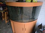 Te koop Juwel Trigon190 Aquarium, Ophalen, Zo goed als nieuw, Leeg aquarium
