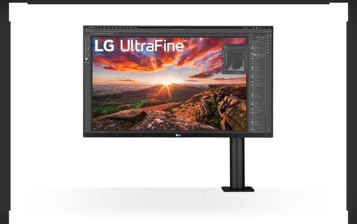 LG 4K 31.5 inch Ergo IPS-Monitor - Zo Goed Als Nieuw!, Computers en Software, Monitoren, Zo goed als nieuw, 60 Hz of minder, USB-C