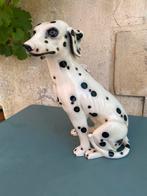 Oud beeld van Dalmatier, Ophalen of Verzenden
