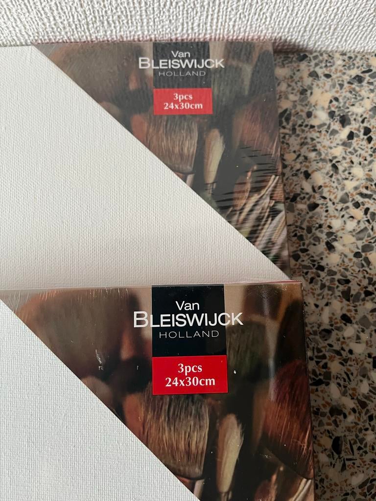 Diverse schildersdoeken - 11 stuks, Ophalen of Verzenden, Nieuw, Doek