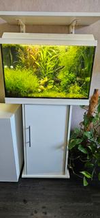 Aquarium 60x30x40, Ophalen, Zo goed als nieuw, Verlichting of Verwarming