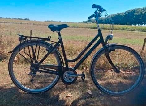 Giant new century damesfiets limited edition, Fietsen en Brommers, Fietsen | Dames | Damesfietsen, Zo goed als nieuw, Giant, Versnellingen