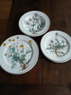 Villeroy en Boch Botanica borden, 9stuks, Gebruikt, Ophalen of Verzenden, Bord(en), Overige stijlen