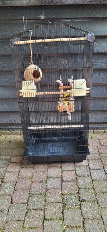 Mooie vogelkooi  beschikbaar voor biedingen