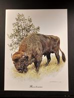 Wisent, 1960 tot 1980, Verzenden, Zo goed als nieuw, Dier