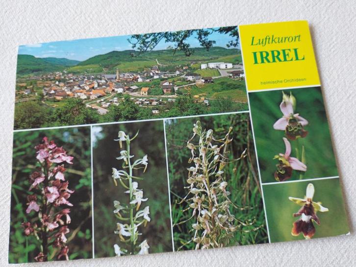 Luftkurort Irrel - Heimische Orchideen - 6 afbeeldingen, Verzamelen, Ansichtkaarten | Buitenland, 1980 tot heden, Ophalen of Verzenden